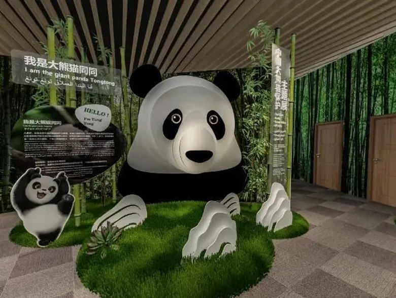 大熊猫1.jpg 大熊猫1.jpg