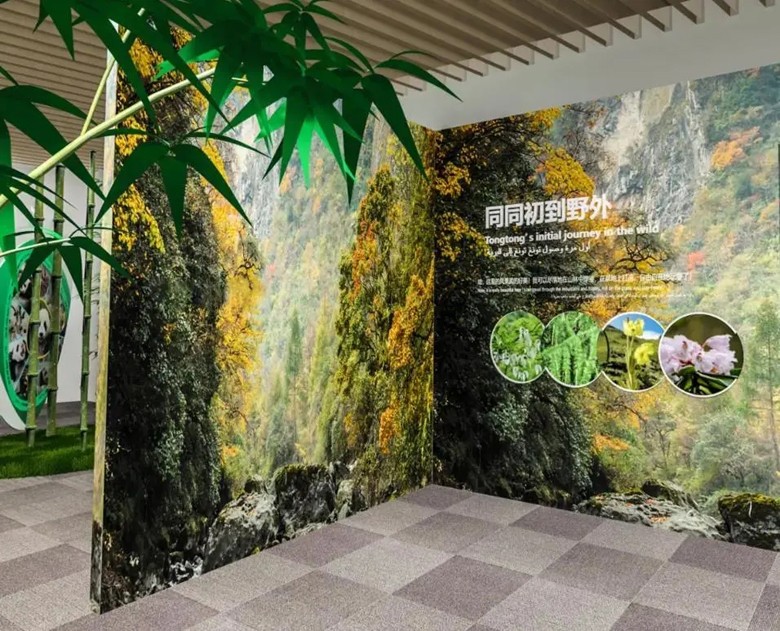 大熊猫3.jpg 大熊猫3.jpg