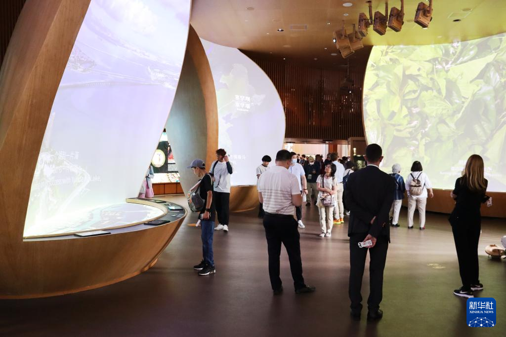 BET体育365投注官网