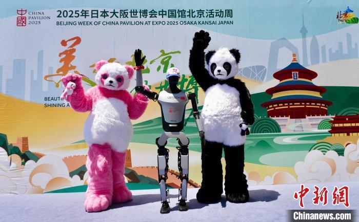 BET体育365投注官网