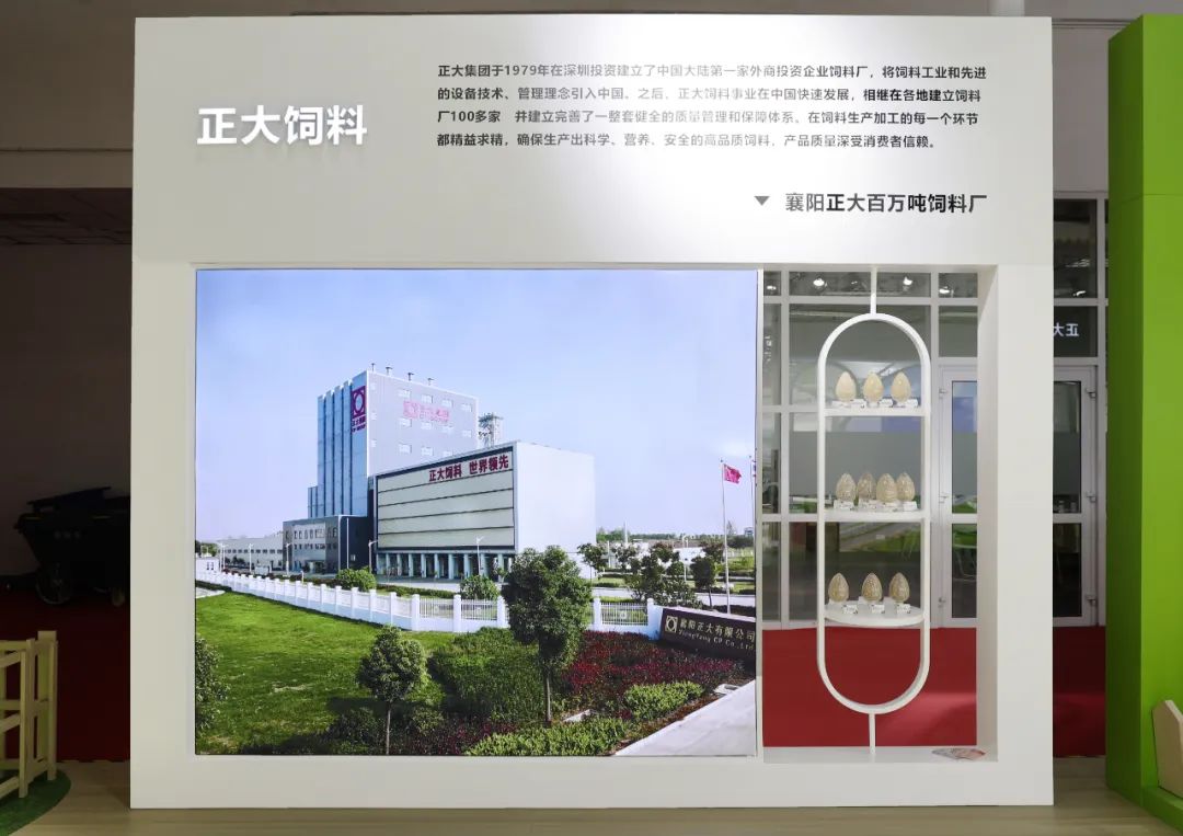 BET体育365投注官网