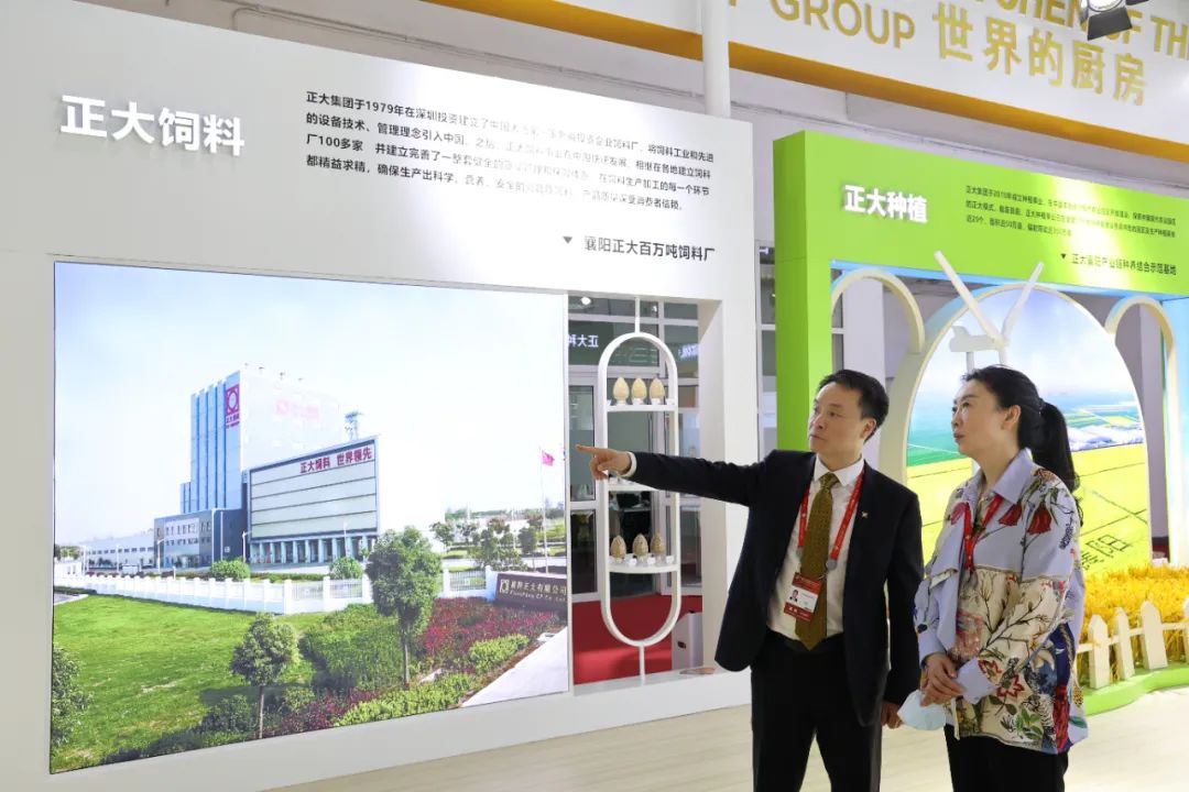 BET体育365投注官网