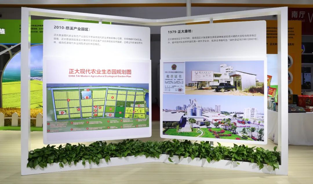 BET体育365投注官网