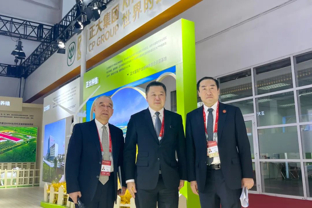 BET体育365投注官网